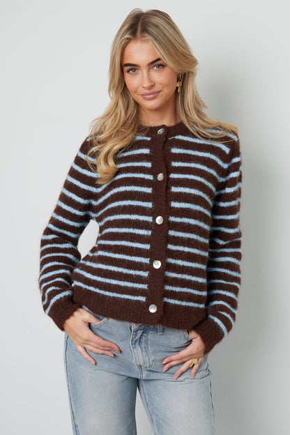 Polyestervezel (polyester) Gebreid vest Strepen Casual Herfst/Winterkleding