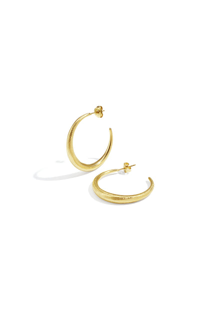 Brushed Gold Hoops