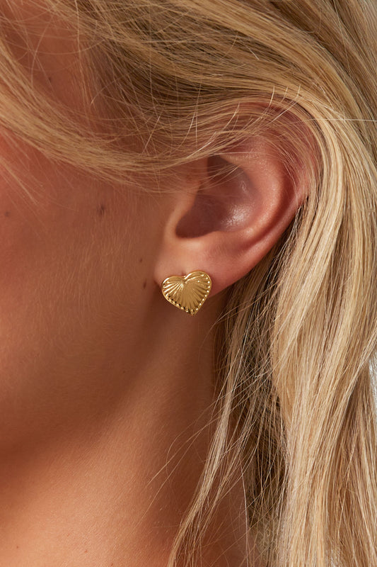 Oorbellen van roestvrij staal met hartjes, Daily Daily Simple Series, damessieraden