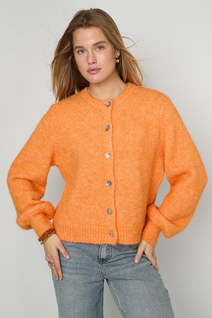 Gebreide Polyestervezel Vrouwen Cardigan Casual Solide Kleur Herfst/Winter