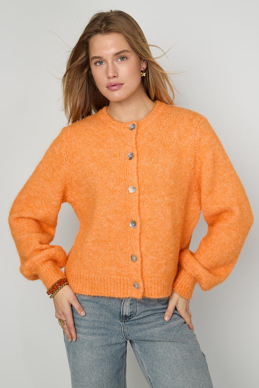 Gebreide Polyestervezel Vrouwen Cardigan Casual Solide Kleur Herfst/Winter